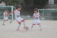 55558654887_352ca27bd3_w